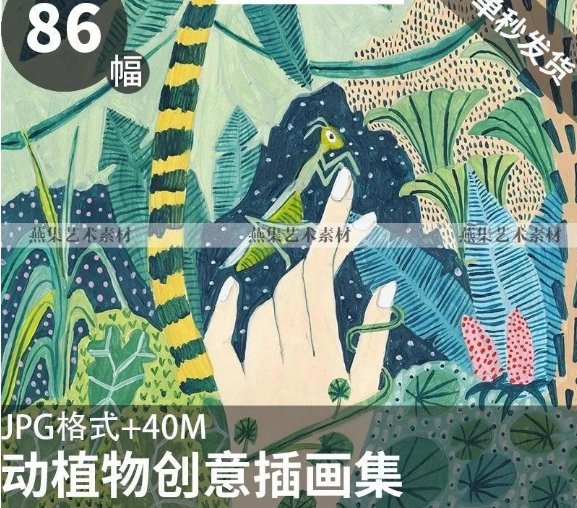86幅，570插画师Amber Davenport动植物插画插画作品电子版参考图-美肚杀分享