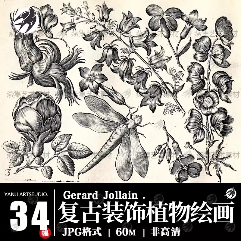 34幅，复古植物绘画Gerard Jollain黑白版画花卉虫鸟类美术临摹参考素材-美肚杀分享