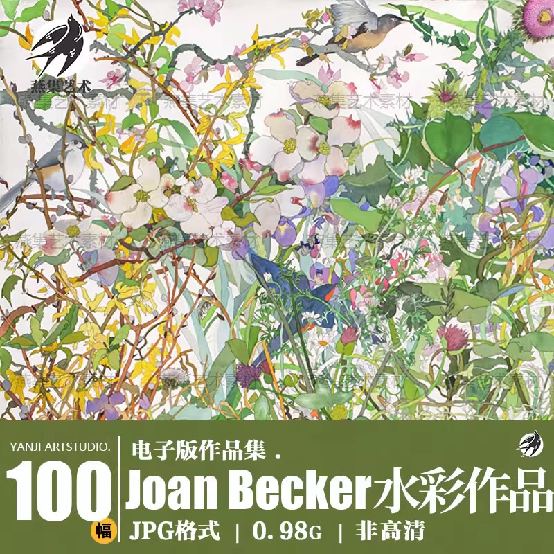 100幅,Joan Becker水彩作品集人物花卉100张电子版图片水彩插画临摹素材-美肚杀分享