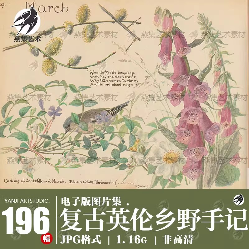 196幅，英伦乡野手记英国古董书 手绘怀旧手帐素材junk journal内页素材-美肚杀分享