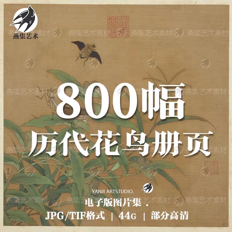 800幅，历代国画花鸟册页合集水墨工笔花鸟画芯喷绘临摹高清电子图片素材-美肚杀分享