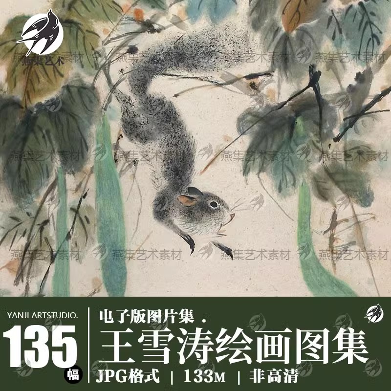 135幅，王雪涛国画绘画合集 写意画 没骨花鸟水墨临摹参考电子版图片素材-美肚杀分享