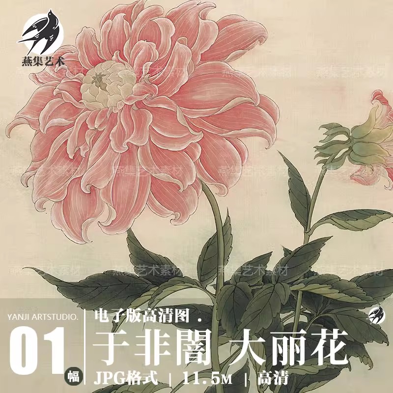 清于非闇大丽花国画工笔花鸟装饰画芯打印图片高清电子版设计素材-美肚杀分享