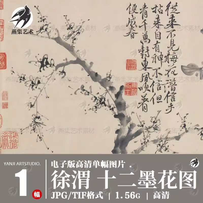 徐渭十二墨花图卷明代水墨花卉写意国画电子版画芯图片高清图素材-美肚杀分享
