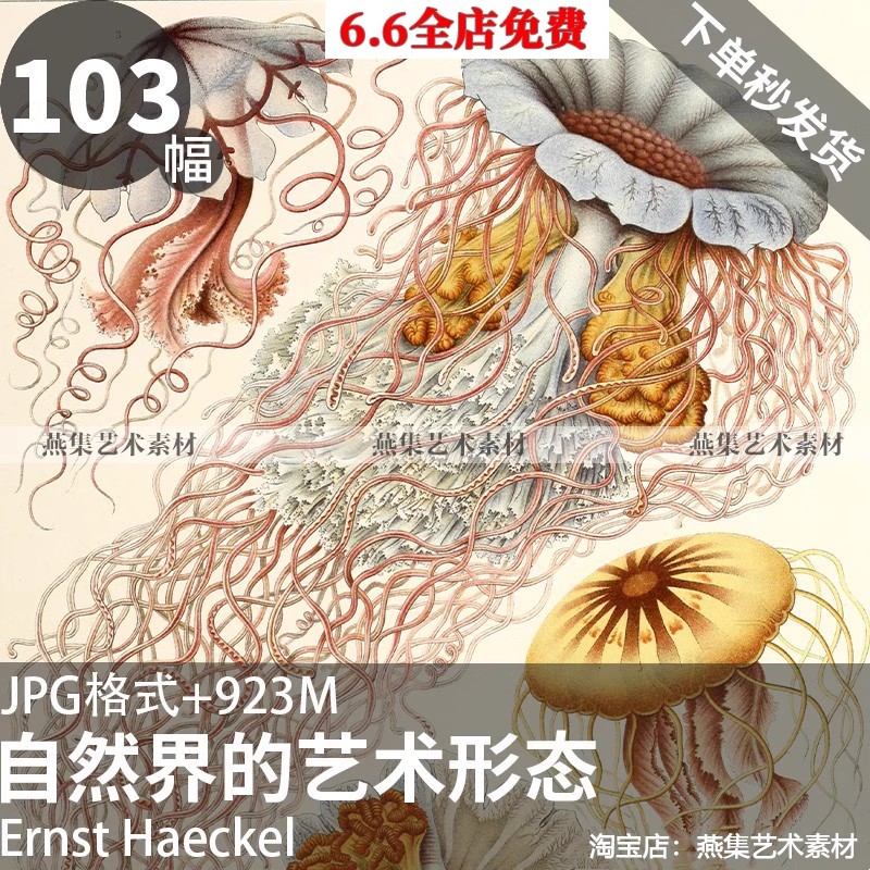 图片[17]-103幅，自然界的艺术形态 | 复古写实贝壳海洋生物插画美术设计手账素材-美肚杀分享