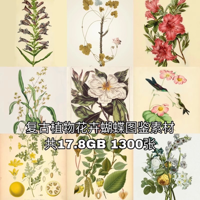 1300张，junk journal复古植物花卉图鉴昆虫花草图谱设计手帐电子图片素材-美肚杀分享