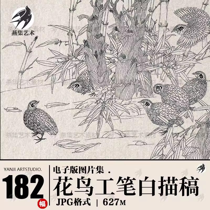 182幅，工笔画花鸟植物白描底稿线描稿高清电子版初学临摹打印参考图素材-美肚杀分享