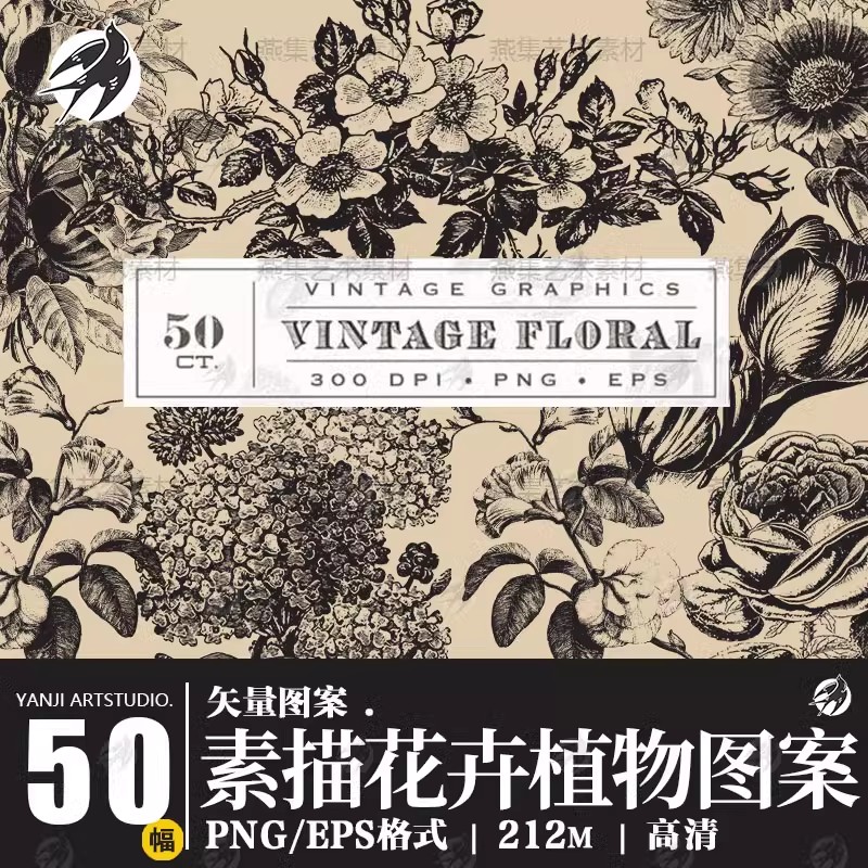 50幅，复古素描花卉植物线稿黑白手绘向日葵AI矢量PNG免抠图案设计素材-美肚杀分享