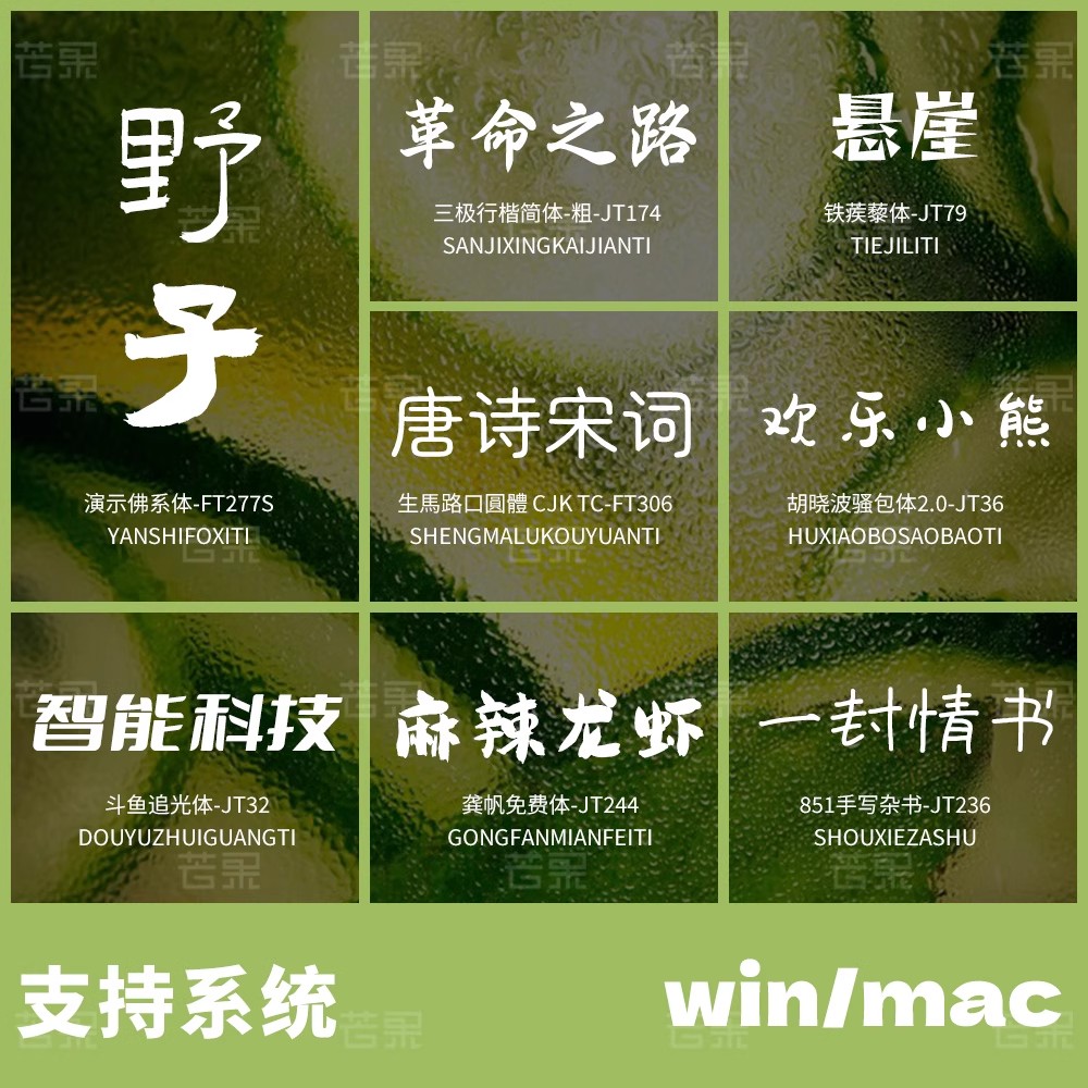 图片[38]-【6000 款字体库】Procreate+PS 通用！AI 设计中英文书法毛笔素材，免费商用无限制-美肚杀分享