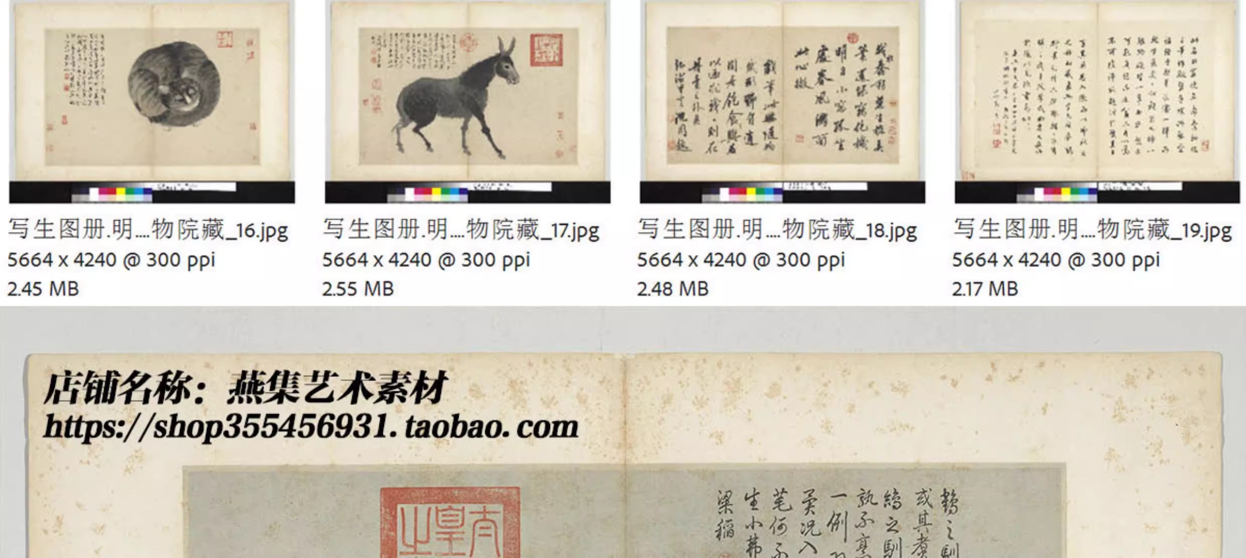 图片[3]-20幅，沈周写生图册明朝古代家禽瓜果水墨字画临摹电子版大图片高清素材-美肚杀分享