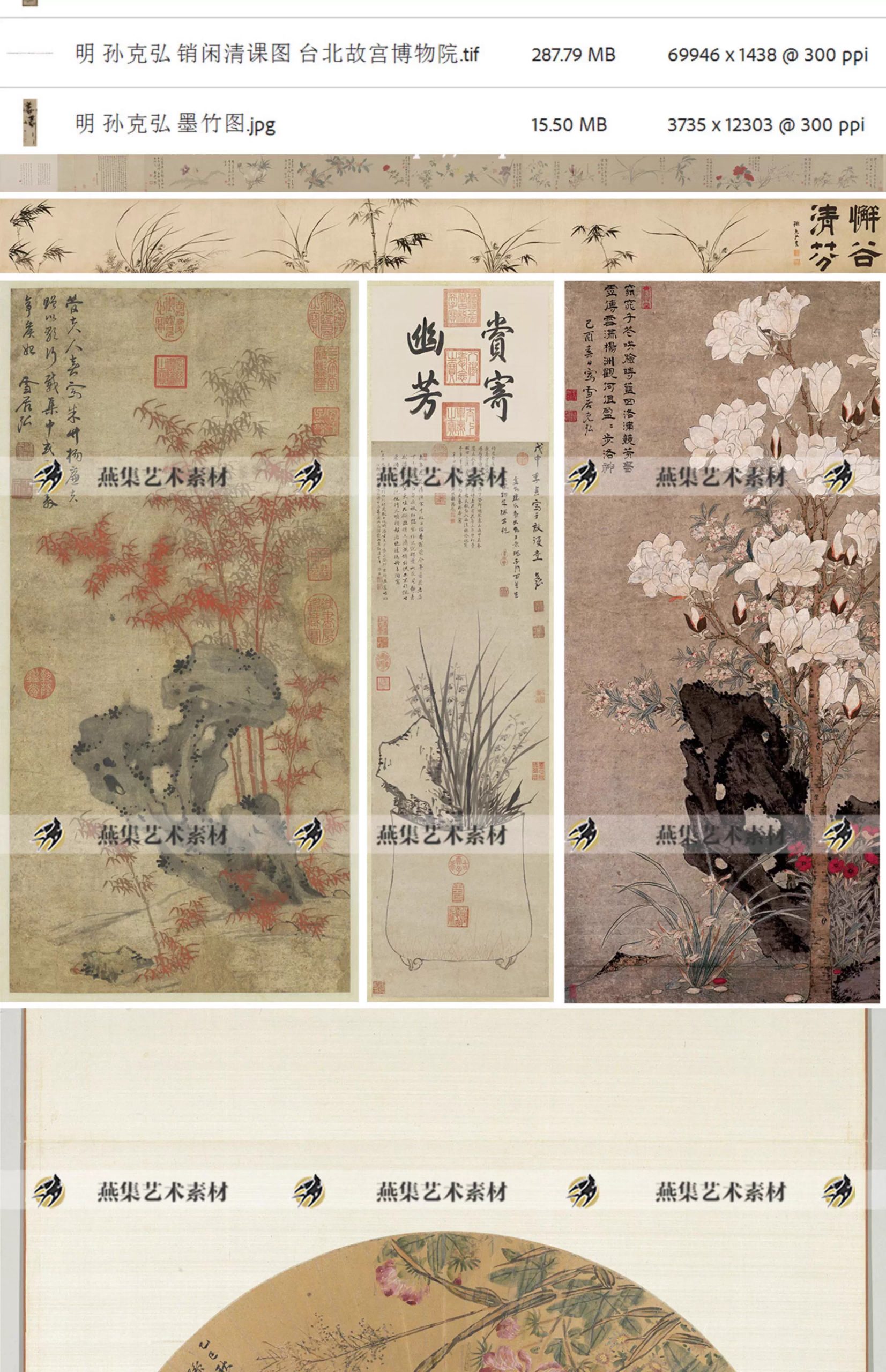 图片[4]-28幅孙克弘绘画作品合集明代花鸟盆花册玉堂芝兰图国画电子版图片素材-美肚杀分享