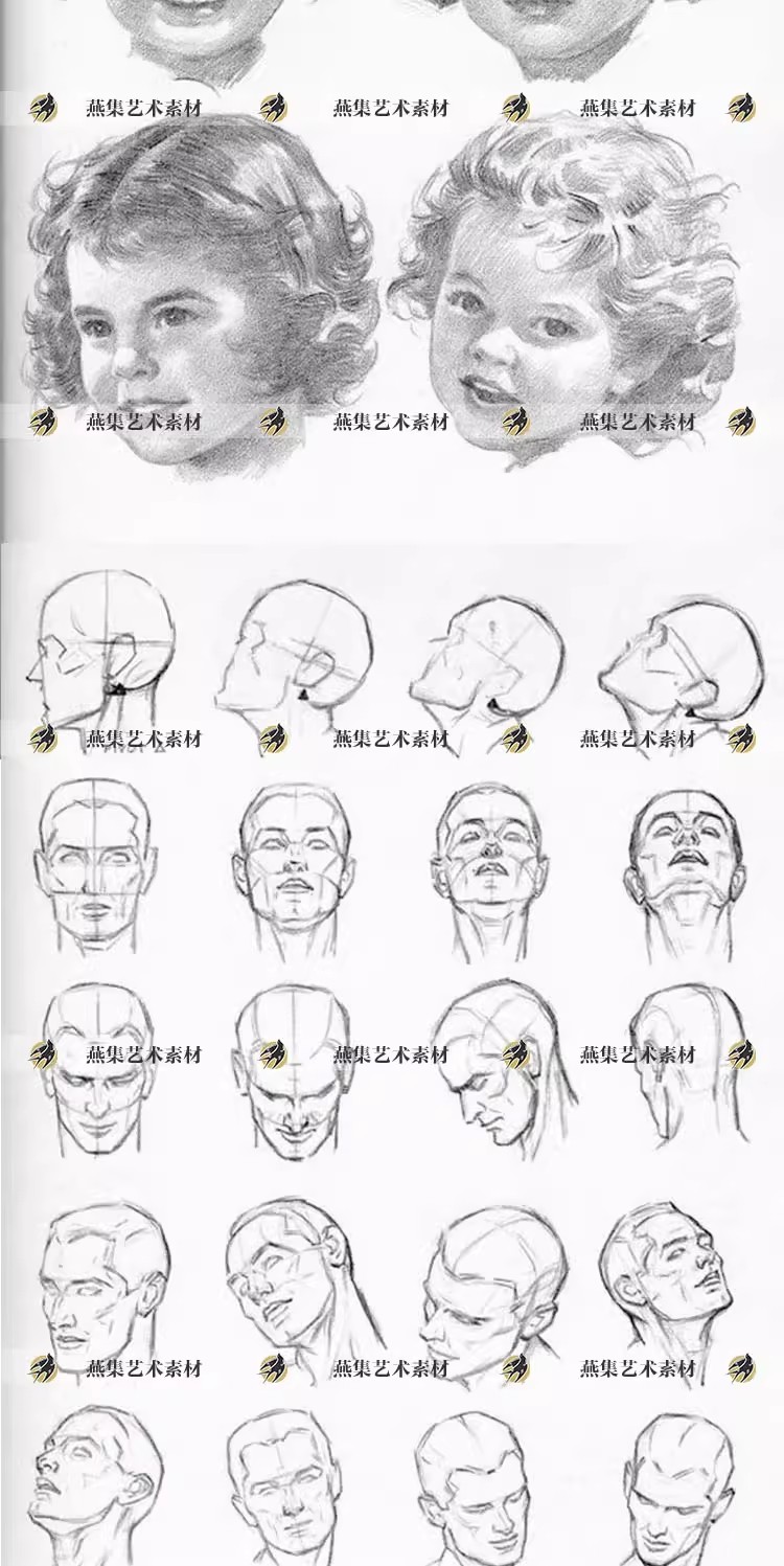 图片[3]-141幅，安德鲁 路米斯Andrew Loomis人物头像素描画法初学基础电子图素材-美肚杀分享