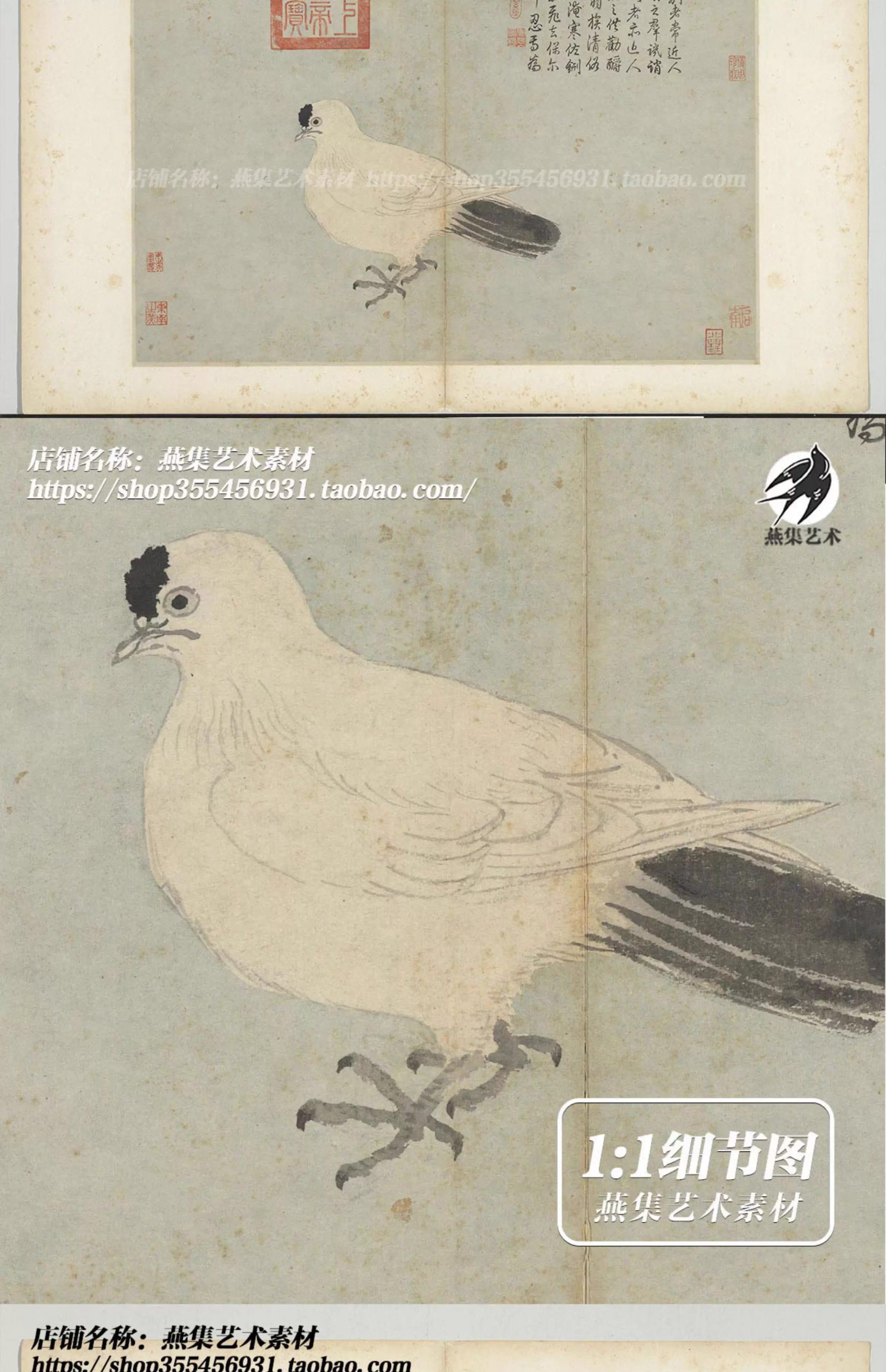 图片[4]-20幅，沈周写生图册明朝古代家禽瓜果水墨字画临摹电子版大图片高清素材-美肚杀分享