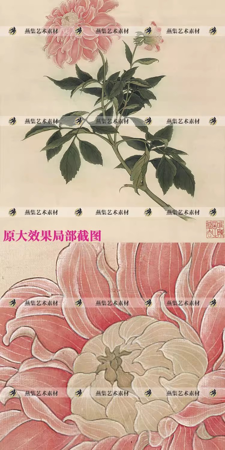 图片[3]-清于非闇大丽花国画工笔花鸟装饰画芯打印图片高清电子版设计素材-美肚杀分享