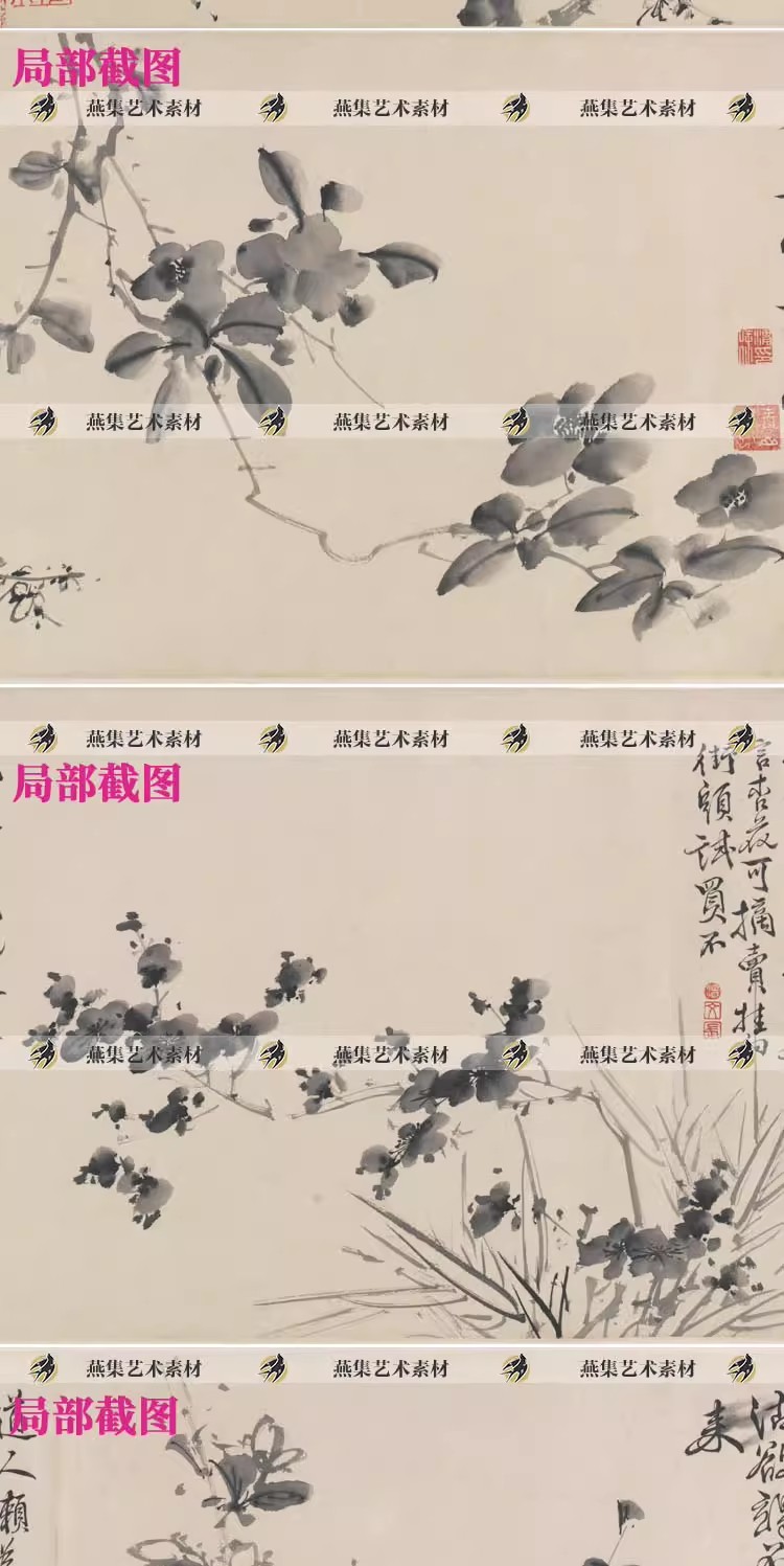 图片[3]-徐渭十二墨花图卷明代水墨花卉写意国画电子版画芯图片高清图素材-美肚杀分享