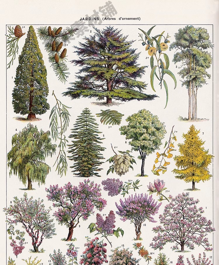 图片[2]-1300张，junk journal复古植物花卉图鉴昆虫花草图谱设计手帐电子图片素材-美肚杀分享