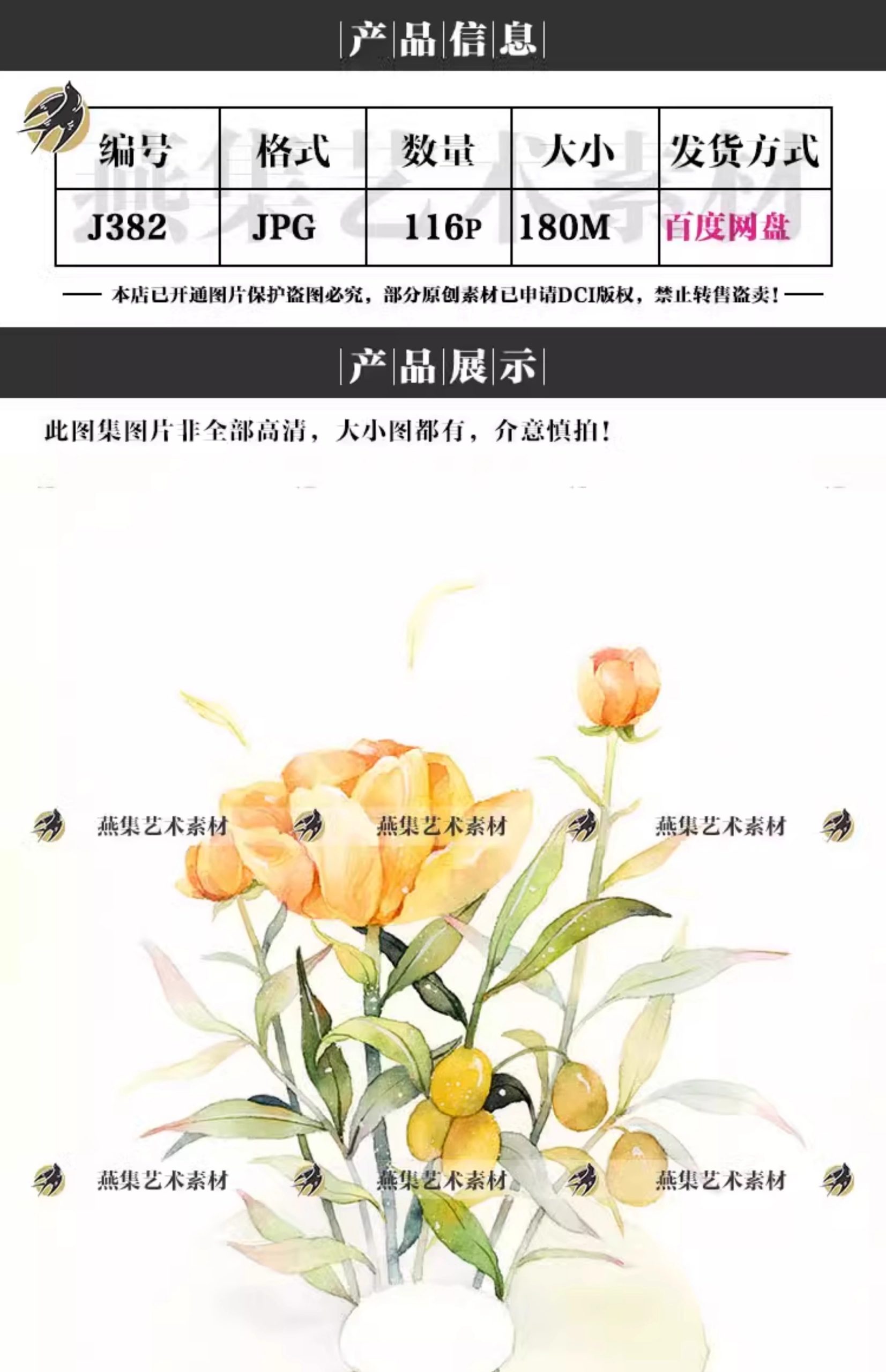 图片[2]-116幅，水彩花卉植物手绘速写线稿教程美术生绘画临摹学习电子图片素材-美肚杀分享