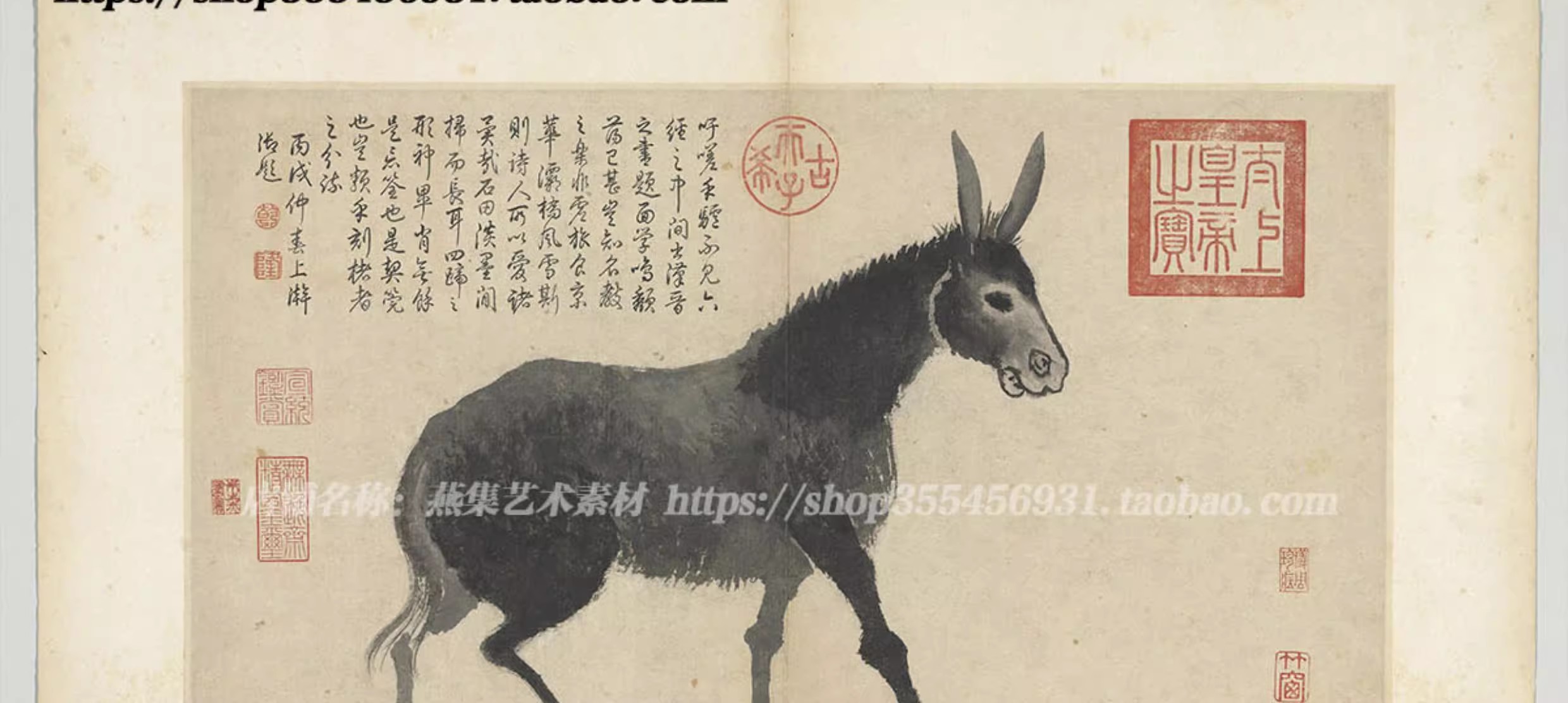 图片[5]-20幅，沈周写生图册明朝古代家禽瓜果水墨字画临摹电子版大图片高清素材-美肚杀分享