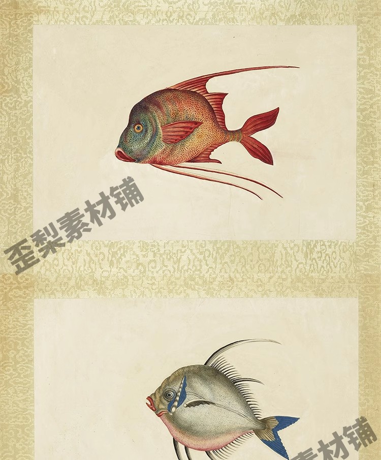 图片[3]-32幅，海怪图记清代古本中国海洋幻想水怪生物水族动物图鉴绘画图片素材-美肚杀分享