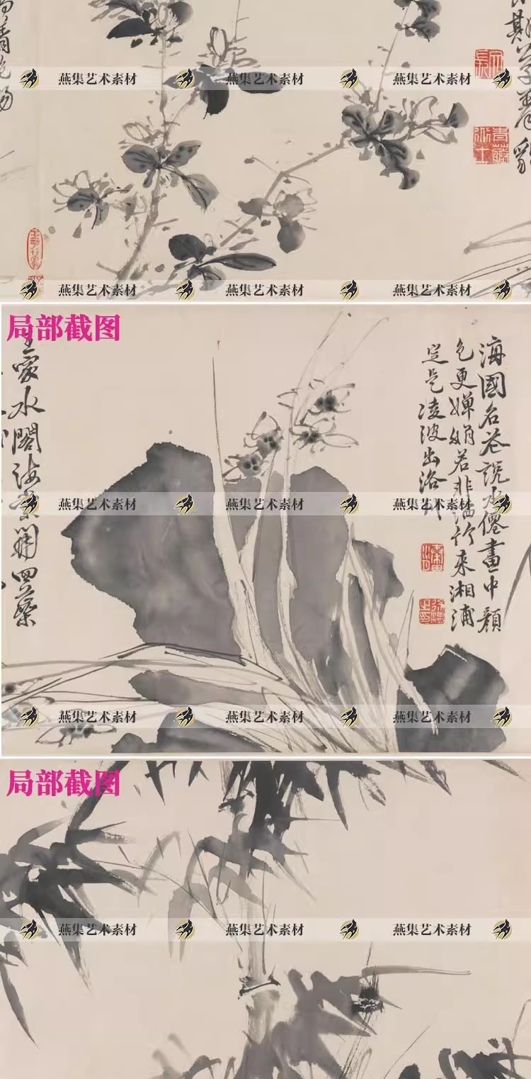 图片[4]-徐渭十二墨花图卷明代水墨花卉写意国画电子版画芯图片高清图素材-美肚杀分享