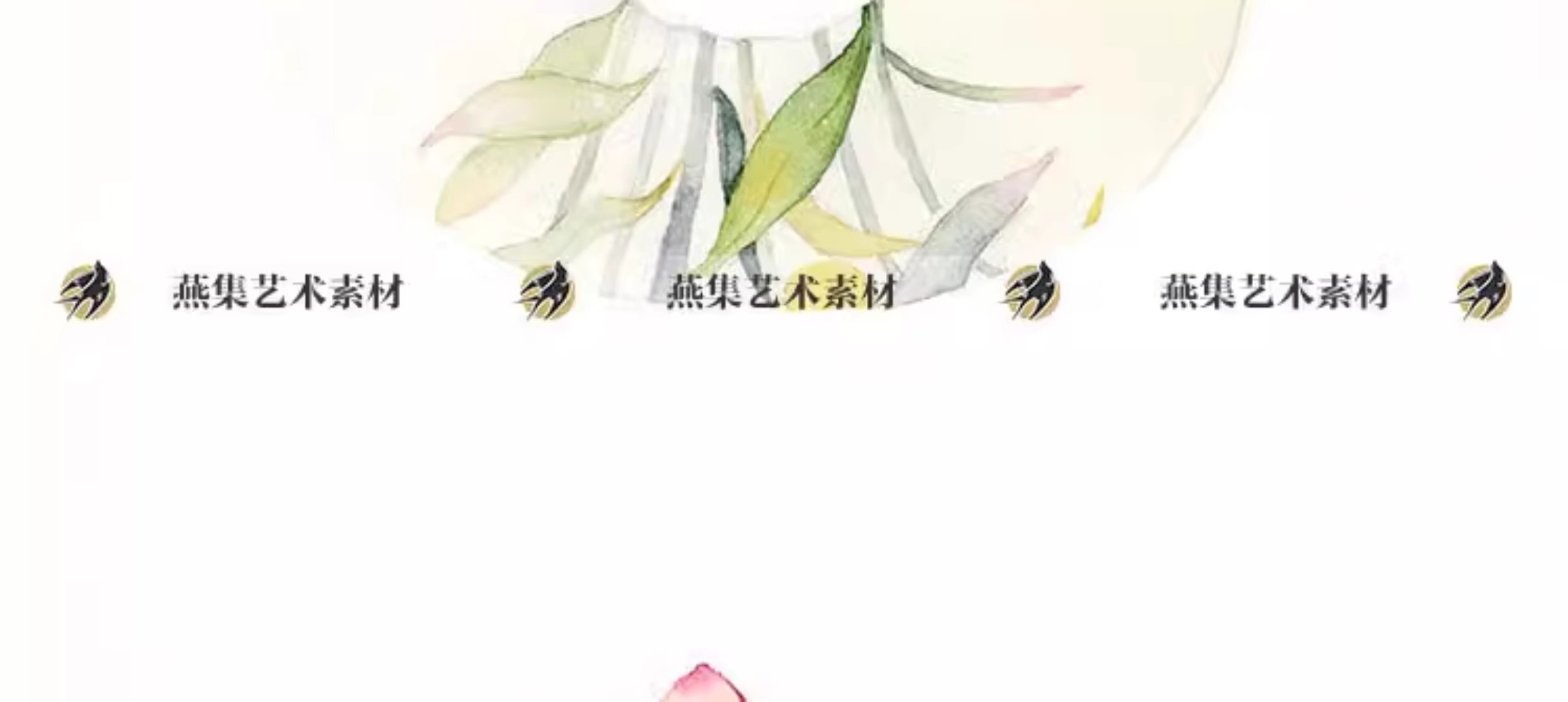 图片[3]-116幅，水彩花卉植物手绘速写线稿教程美术生绘画临摹学习电子图片素材-美肚杀分享