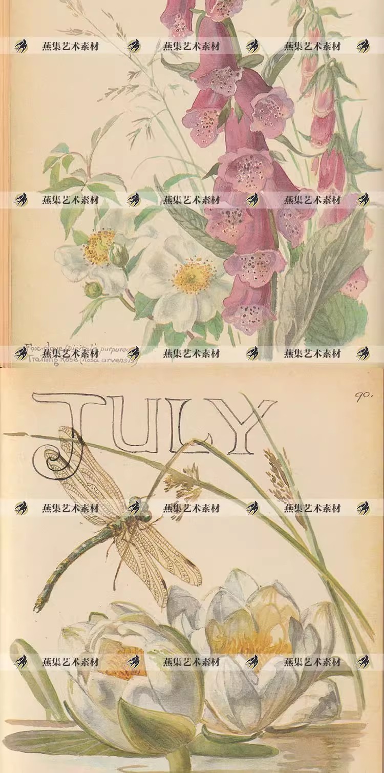 图片[5]-196幅，英伦乡野手记英国古董书 手绘怀旧手帐素材junk journal内页素材-美肚杀分享