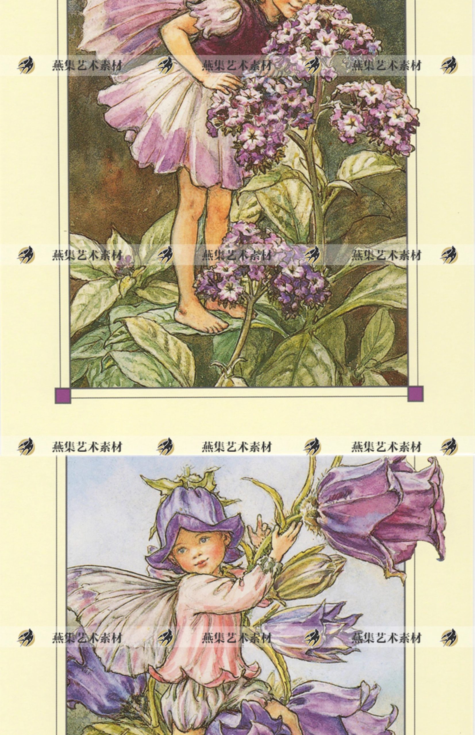 图片[4]-576幅，Cicely Mary Barker可爱童趣花仙手帐 复古童话插画参考电子素材-美肚杀分享