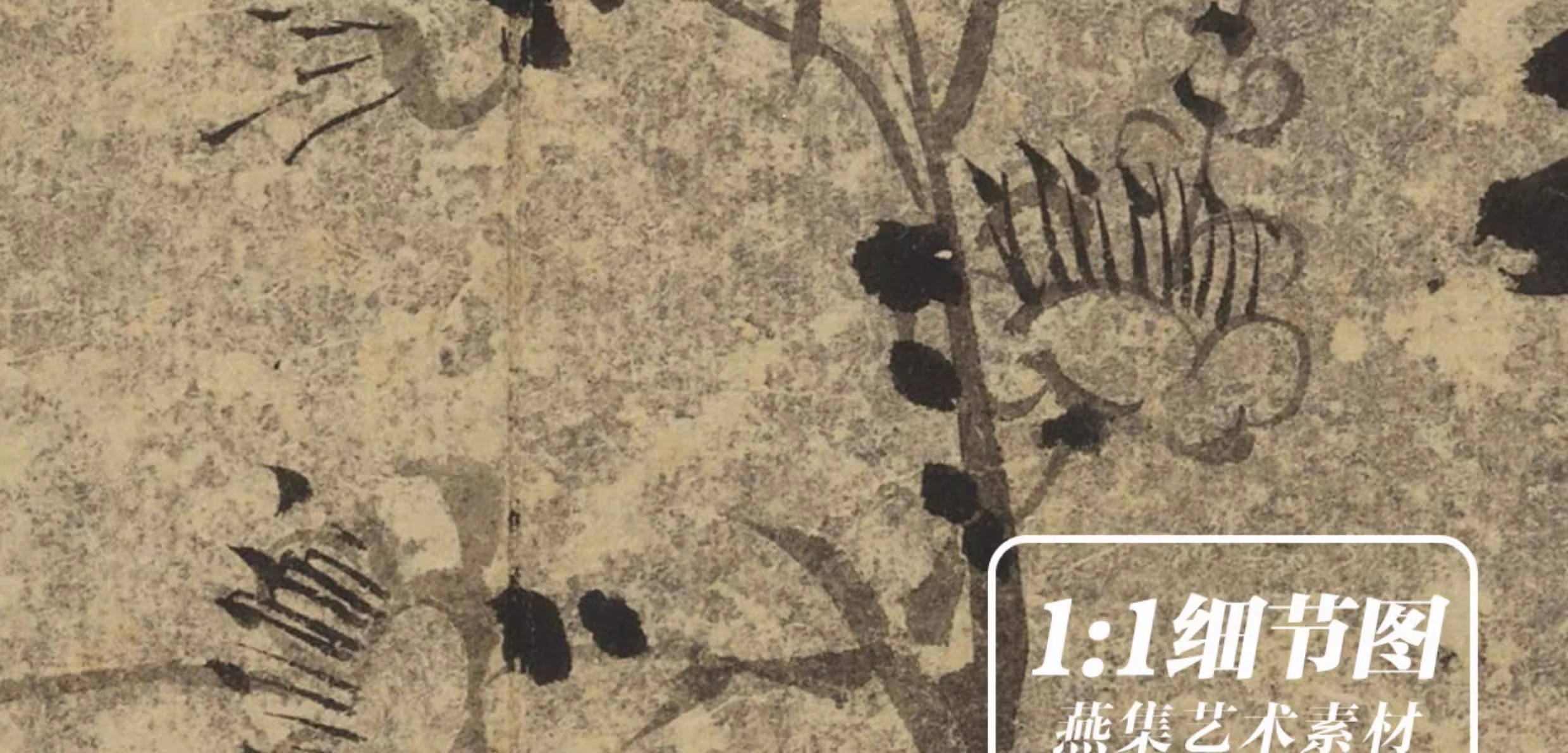 图片[7]-8幅，清汪士慎梅花图册水墨花卉国画芯临摹参考绘画高清电子版图片素材-美肚杀分享
