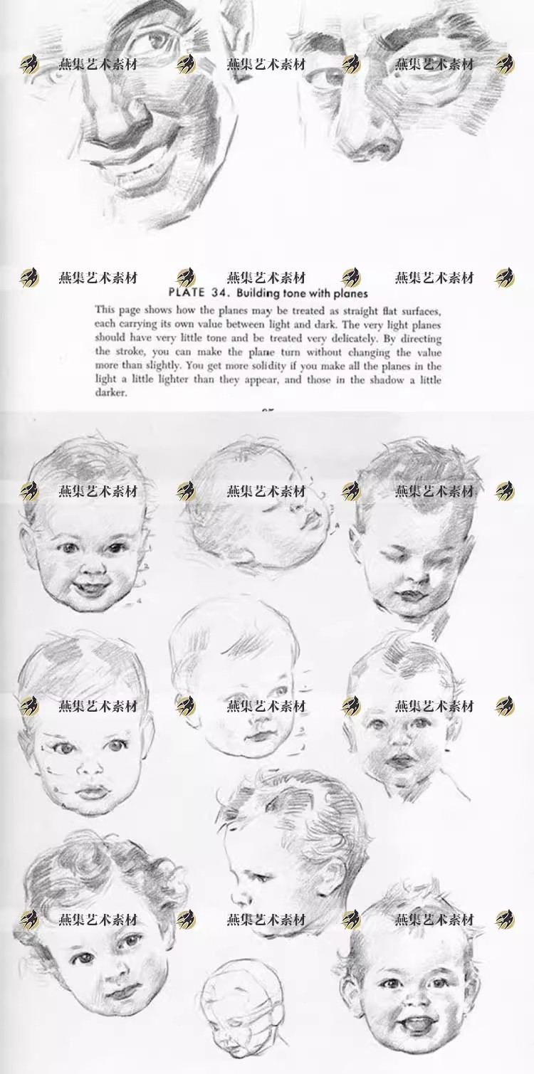 图片[5]-141幅，安德鲁 路米斯Andrew Loomis人物头像素描画法初学基础电子图素材-美肚杀分享