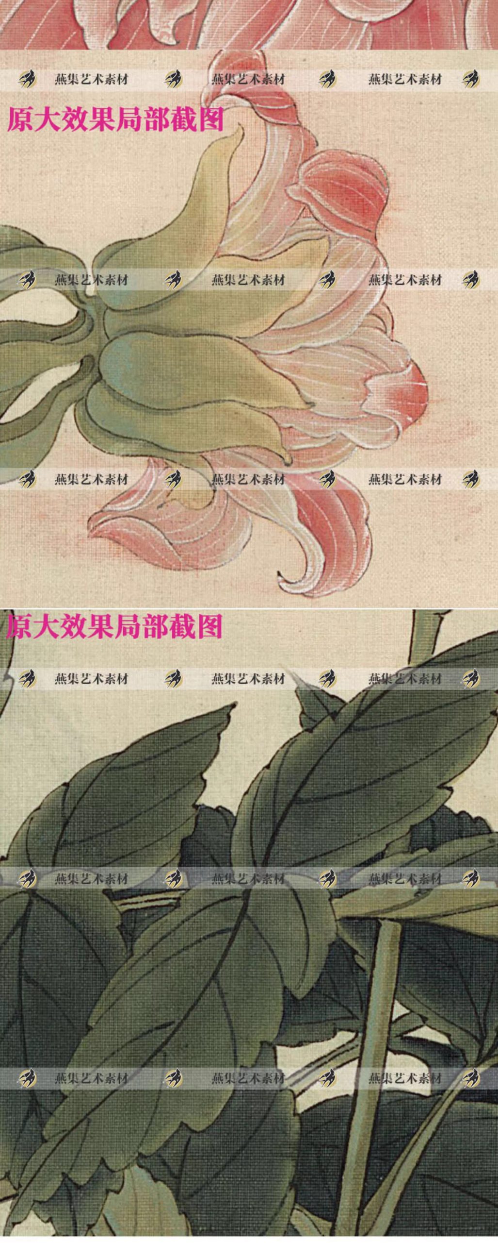 图片[5]-清于非闇大丽花国画工笔花鸟装饰画芯打印图片高清电子版设计素材-美肚杀分享