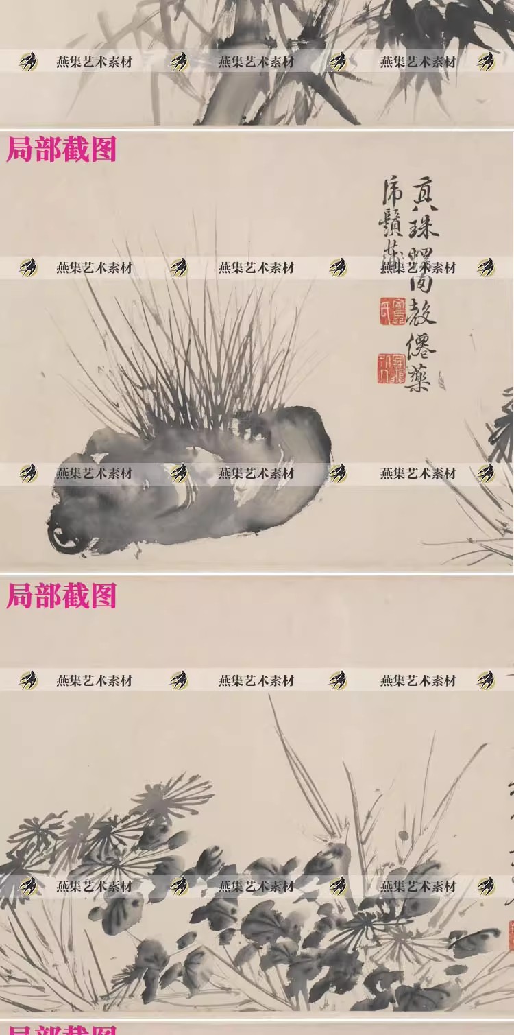 图片[5]-徐渭十二墨花图卷明代水墨花卉写意国画电子版画芯图片高清图素材-美肚杀分享