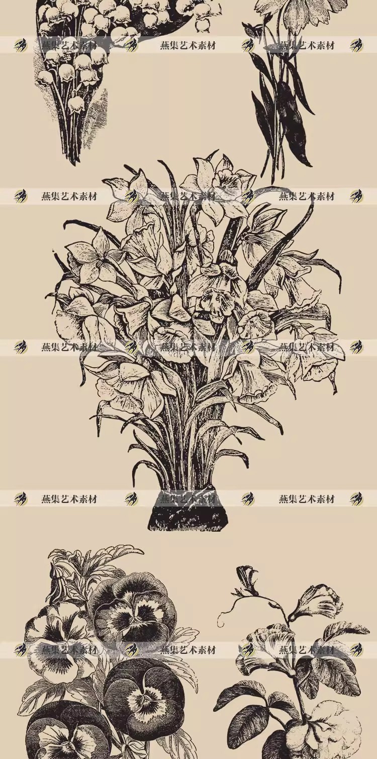 图片[5]-50幅，复古素描花卉植物线稿黑白手绘向日葵AI矢量PNG免抠图案设计素材-美肚杀分享