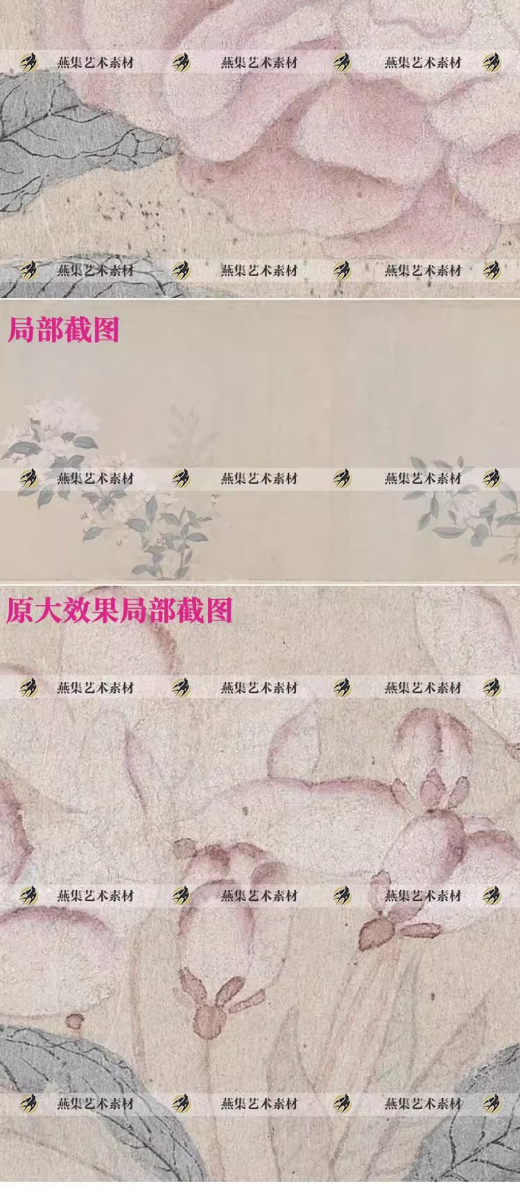 图片[5]-钱选八花图卷元代花卉植物国画绘画装饰画芯高清电子图片临摹素材-美肚杀分享