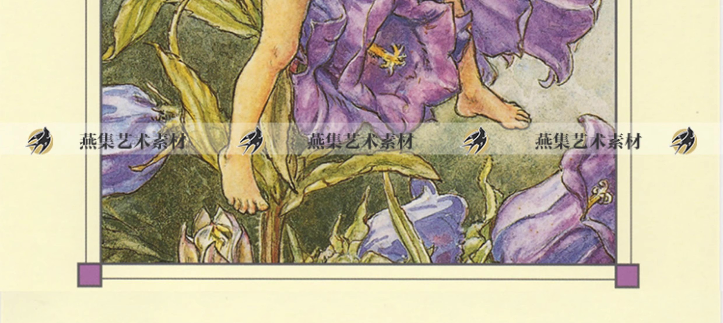 图片[5]-576幅，Cicely Mary Barker可爱童趣花仙手帐 复古童话插画参考电子素材-美肚杀分享