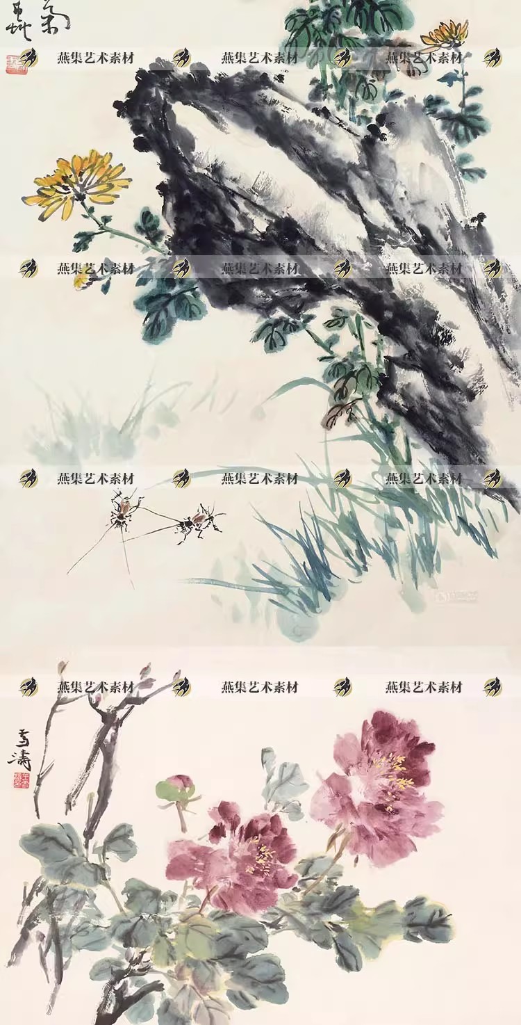 图片[6]-135幅，王雪涛国画绘画合集 写意画 没骨花鸟水墨临摹参考电子版图片素材-美肚杀分享