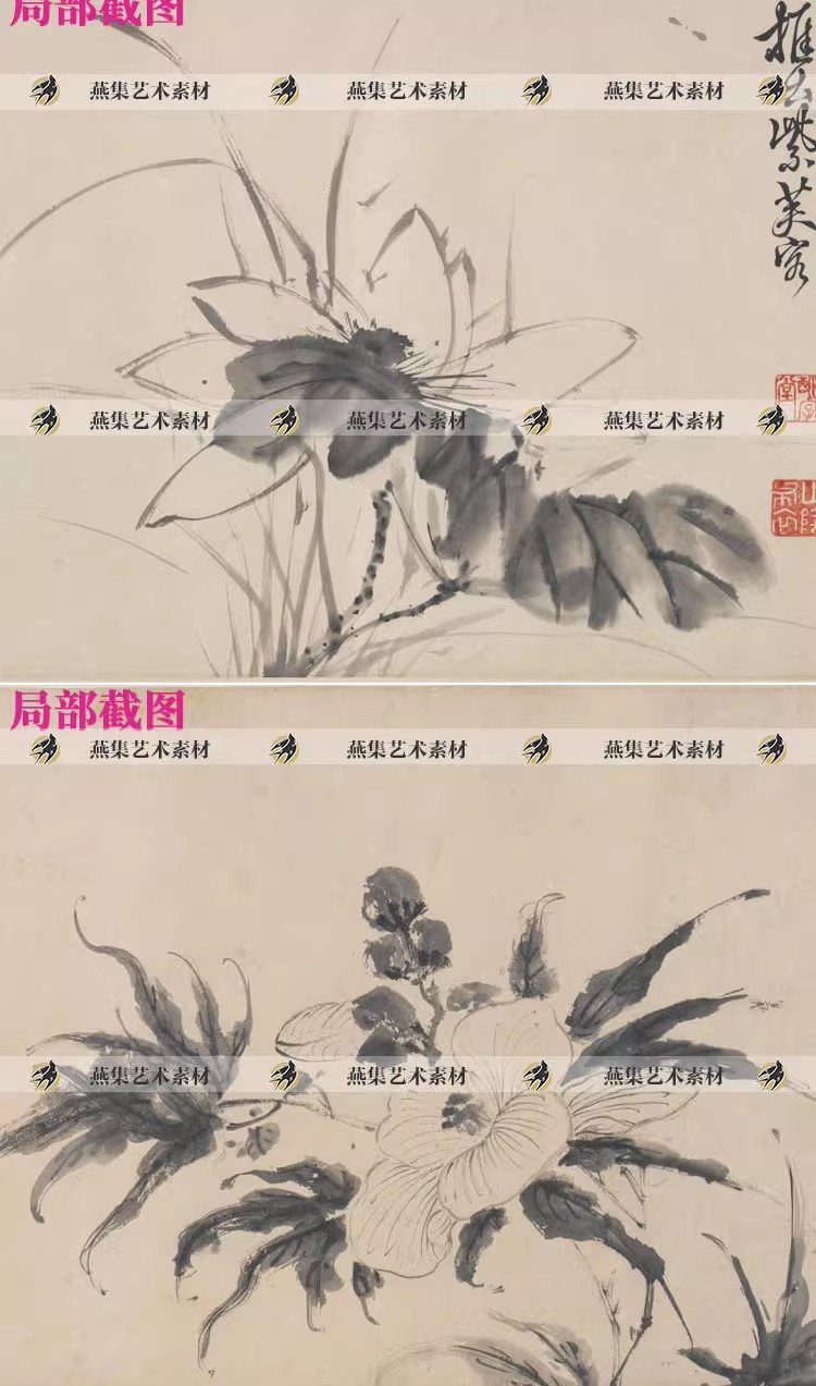 图片[6]-徐渭十二墨花图卷明代水墨花卉写意国画电子版画芯图片高清图素材-美肚杀分享