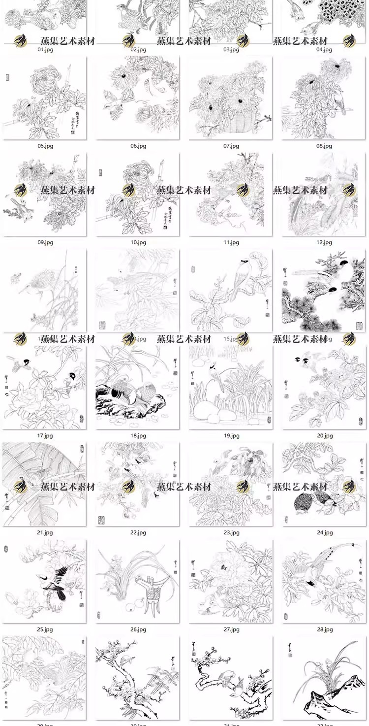图片[6]-182幅，工笔画花鸟植物白描底稿线描稿高清电子版初学临摹打印参考图素材-美肚杀分享