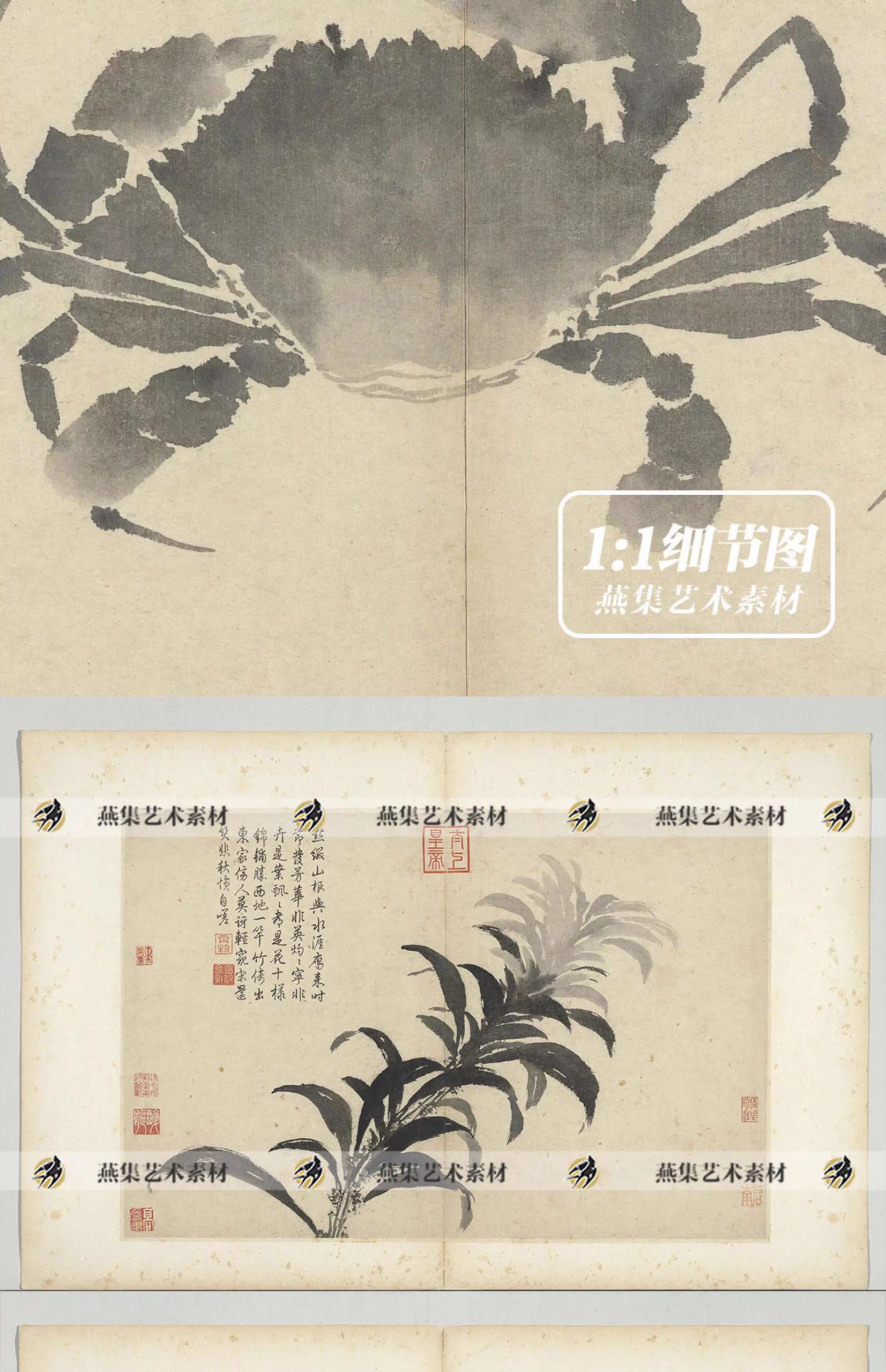图片[8]-20幅，沈周写生图册明朝古代家禽瓜果水墨字画临摹电子版大图片高清素材-美肚杀分享