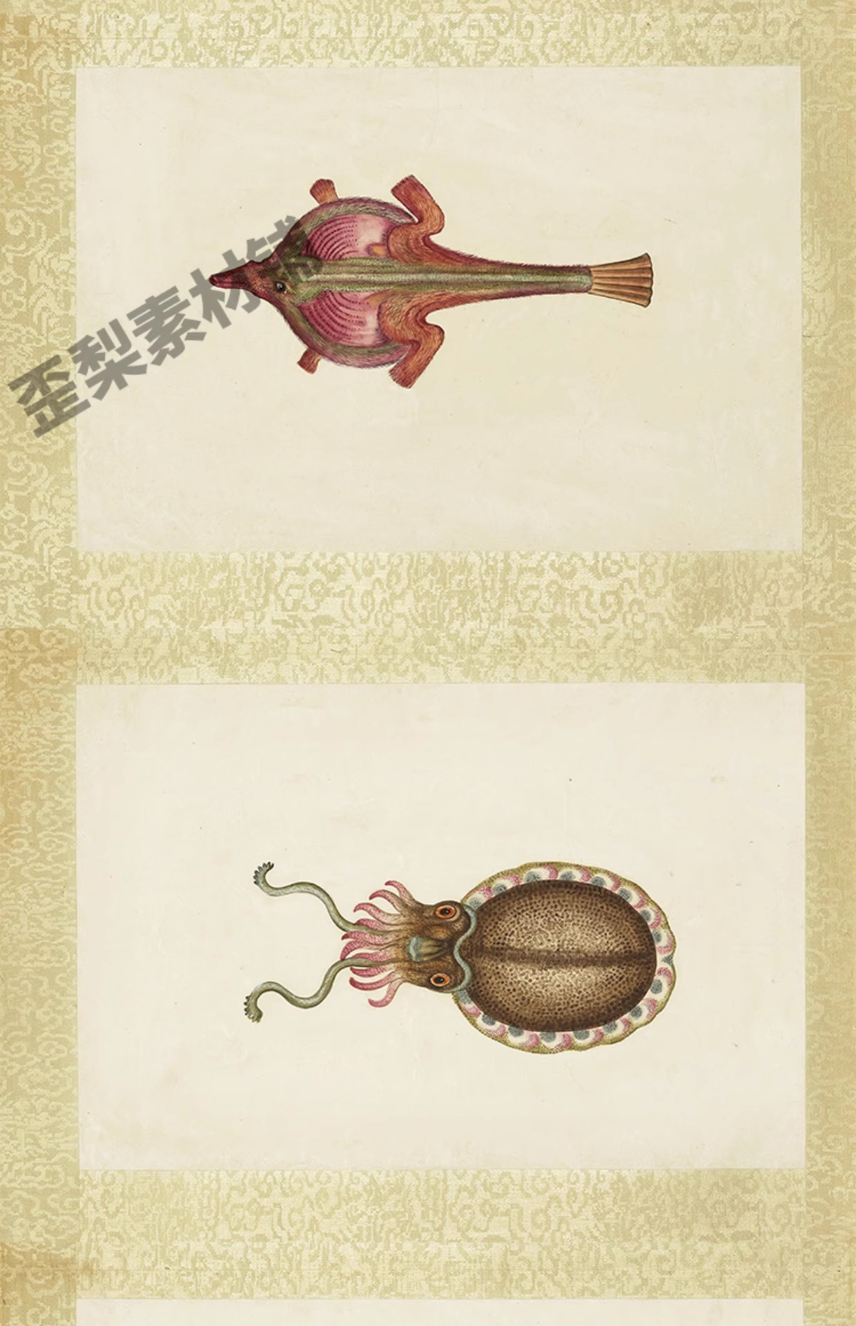 图片[6]-32幅，海怪图记清代古本中国海洋幻想水怪生物水族动物图鉴绘画图片素材-美肚杀分享