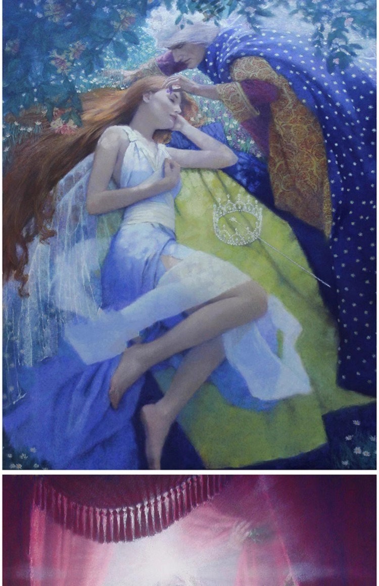 图片[5]-246幅，克里斯蒂安.伯明翰Christian Birmingham儿童童话插画手账素材-美肚杀分享