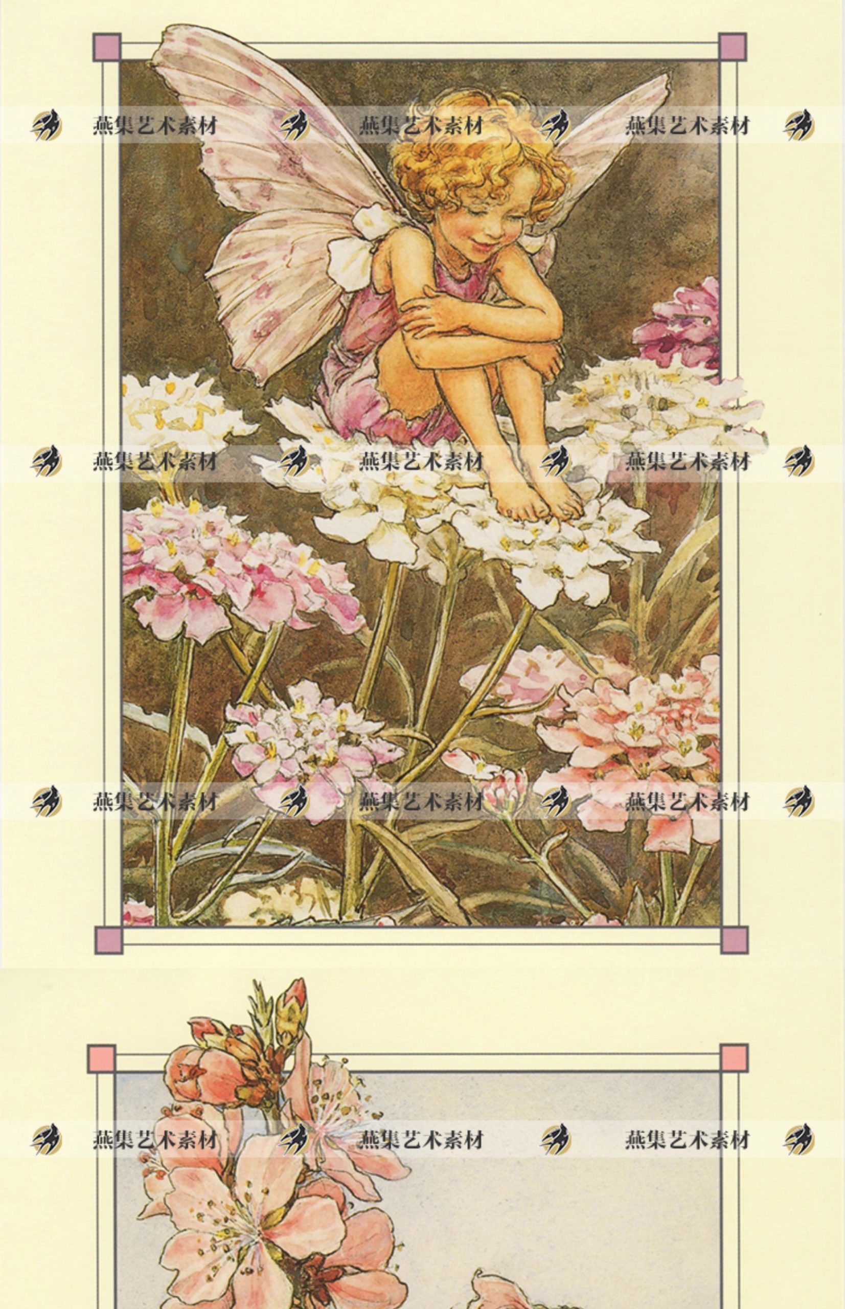 图片[6]-576幅，Cicely Mary Barker可爱童趣花仙手帐 复古童话插画参考电子素材-美肚杀分享