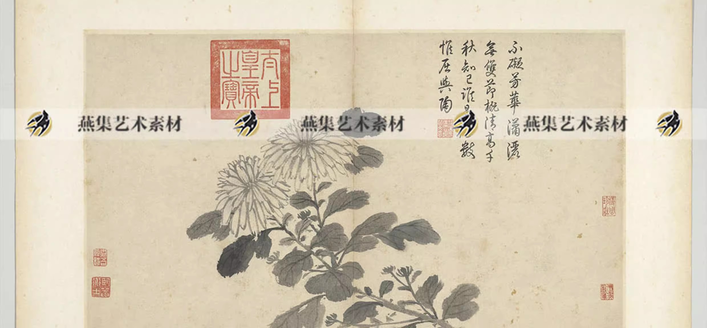图片[9]-20幅，沈周写生图册明朝古代家禽瓜果水墨字画临摹电子版大图片高清素材-美肚杀分享