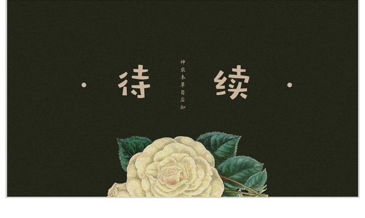 图片[10]-导师夸爆的「复古草本风」PPT！绿色植物 × 小清新作品集模板，中医艺术答辩用它秒变高级感～-美肚杀分享
