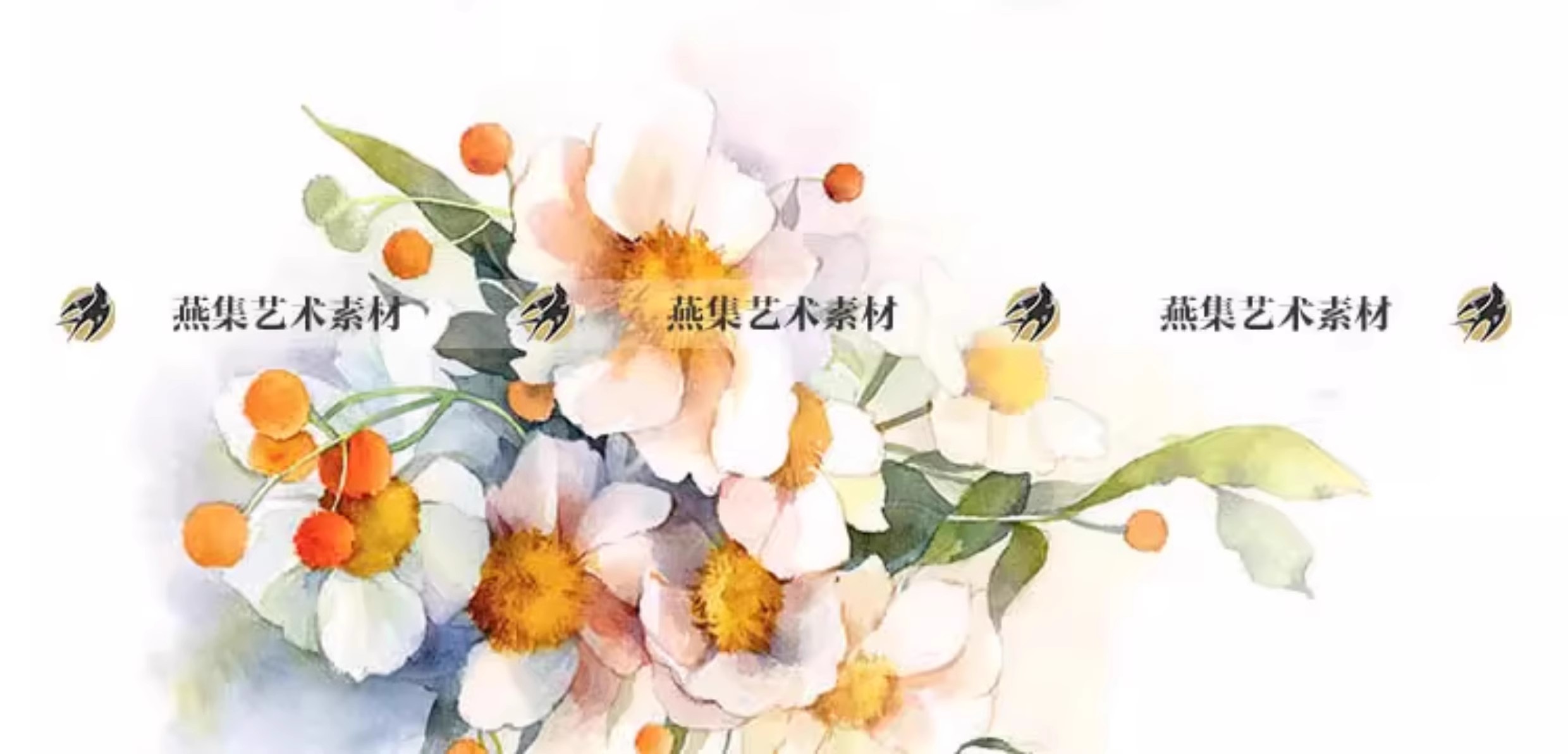 图片[7]-116幅，水彩花卉植物手绘速写线稿教程美术生绘画临摹学习电子图片素材-美肚杀分享