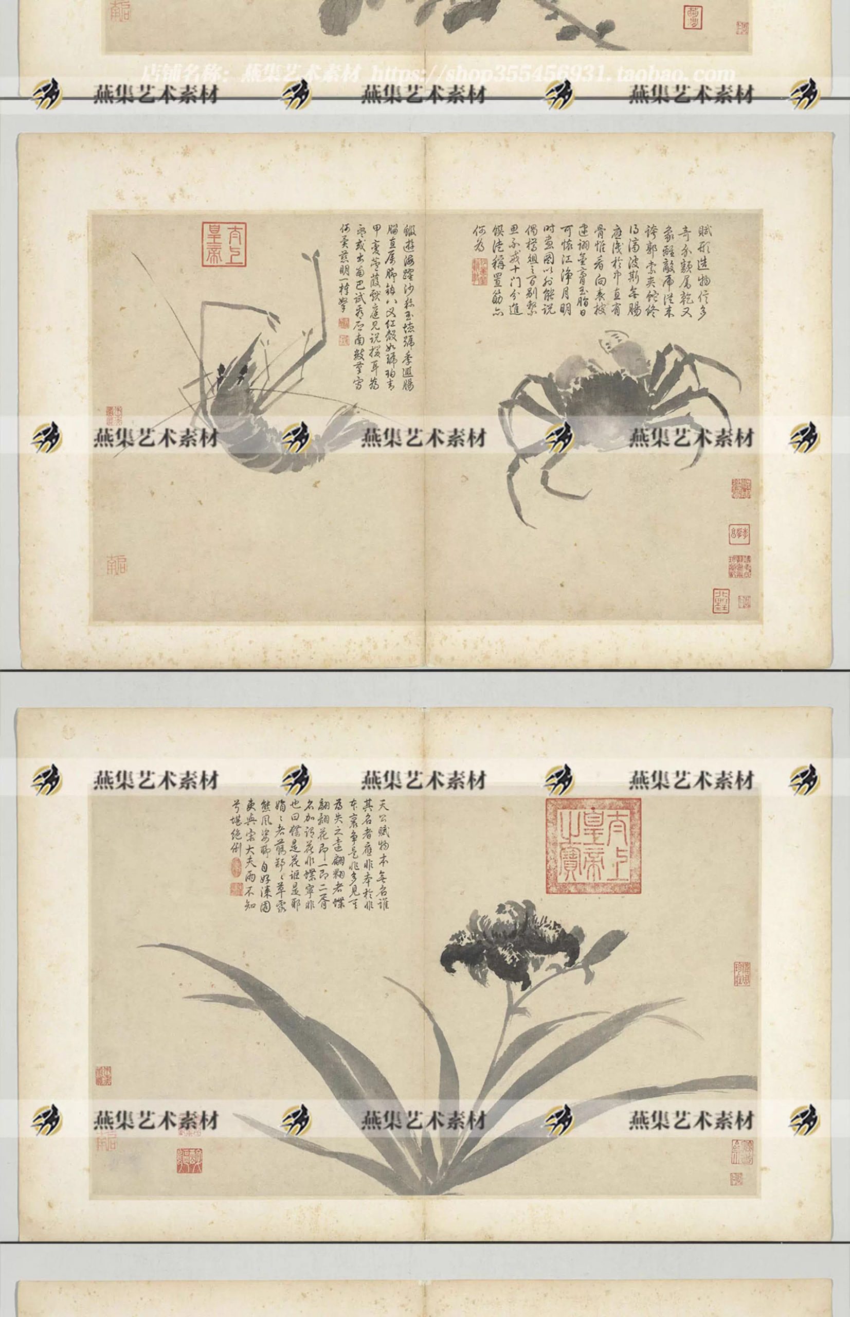 图片[10]-20幅，沈周写生图册明朝古代家禽瓜果水墨字画临摹电子版大图片高清素材-美肚杀分享