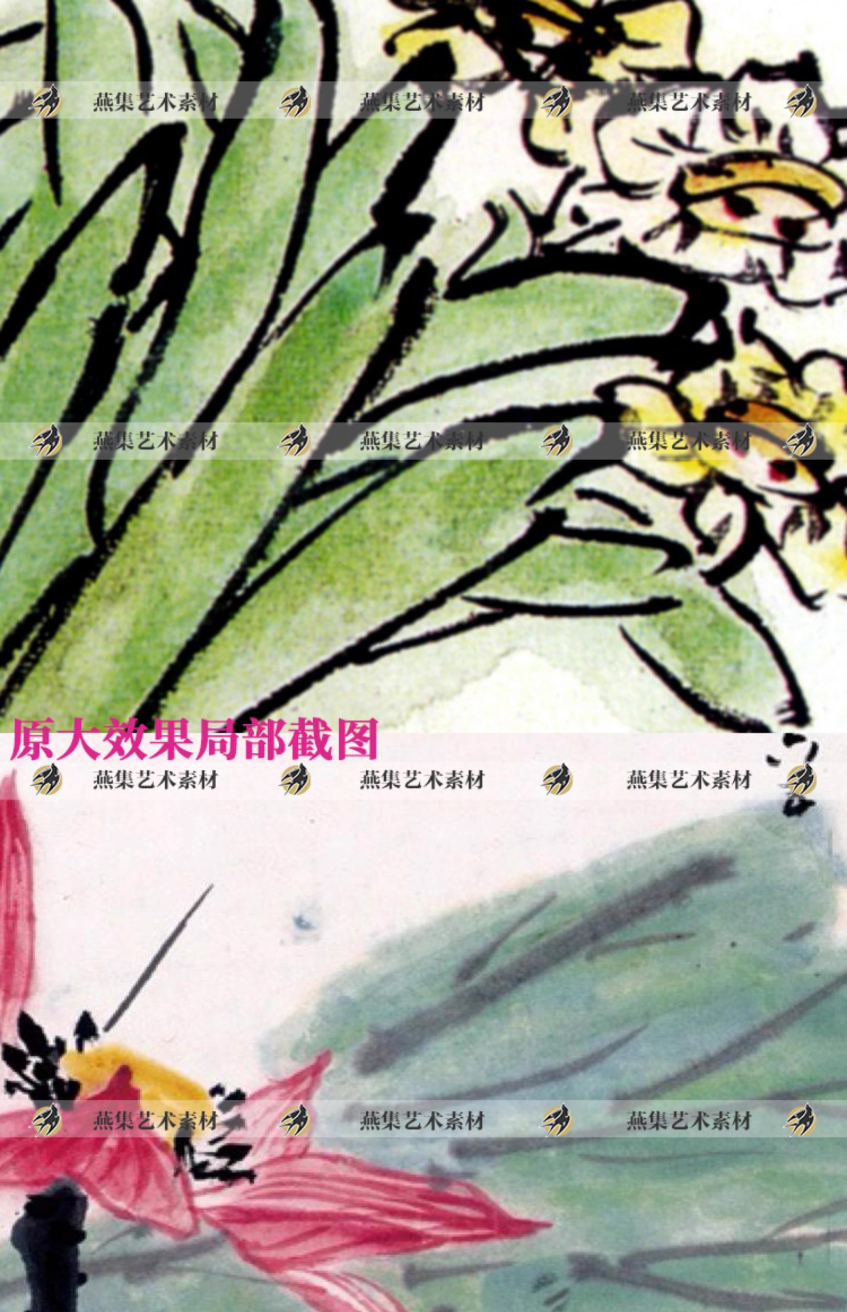 图片[8]-167幅，潘天寿写意国画花鸟画作品高清图片近现代绘画临摹资料图片素材-美肚杀分享