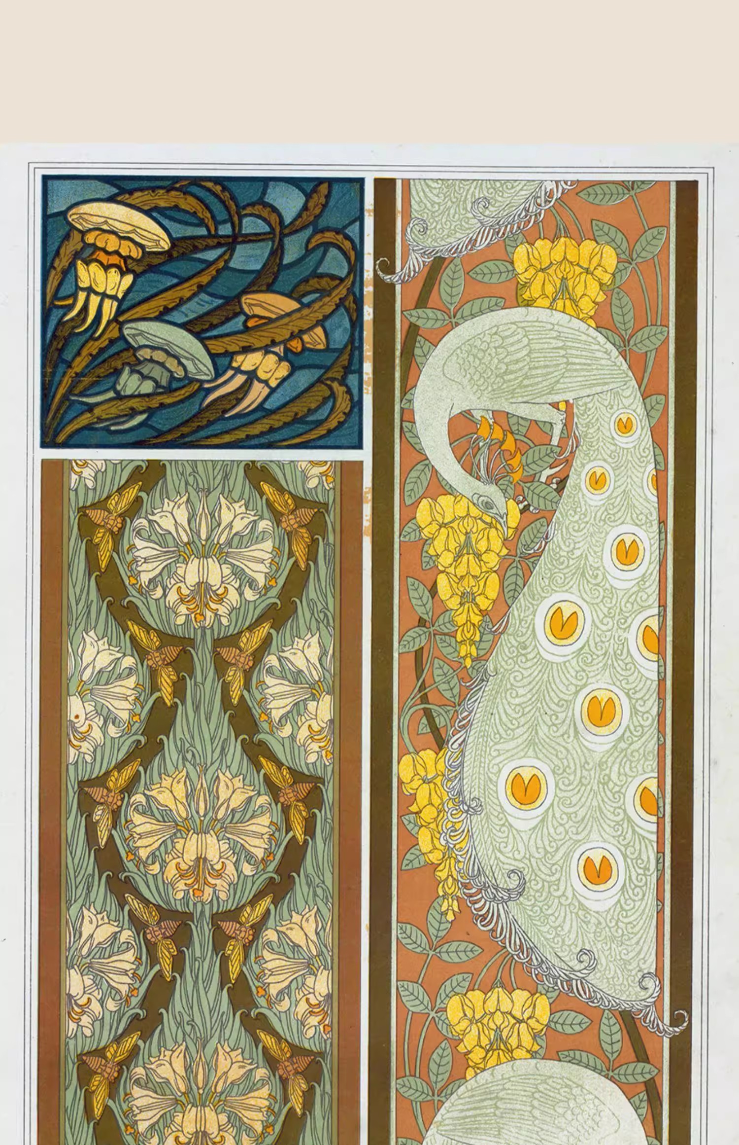 图片[8]-132幅，法国新艺术风格Maurice Pillard Verneuil纹样参考电子版图片素材-美肚杀分享