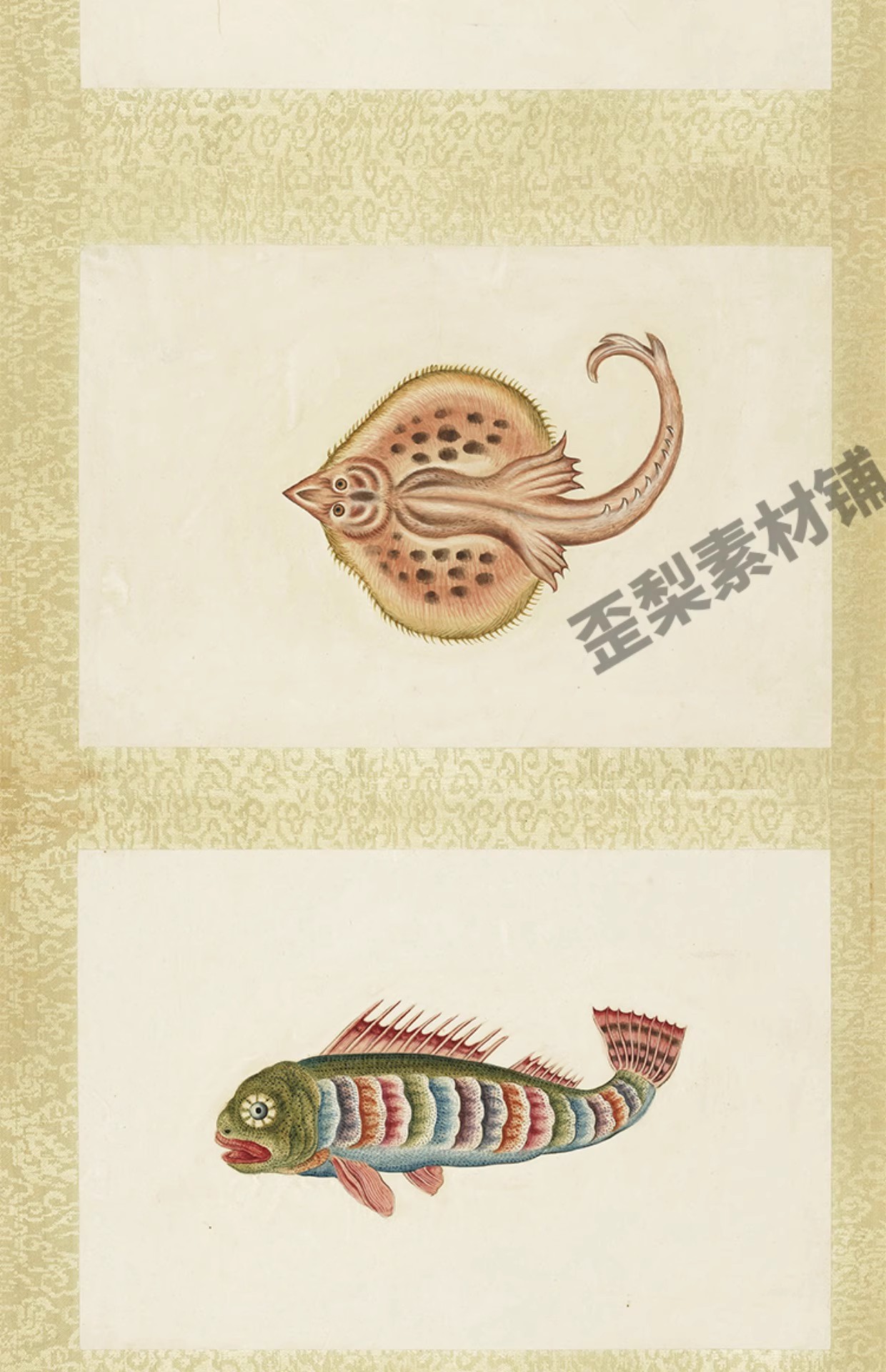 图片[9]-32幅，海怪图记清代古本中国海洋幻想水怪生物水族动物图鉴绘画图片素材-美肚杀分享