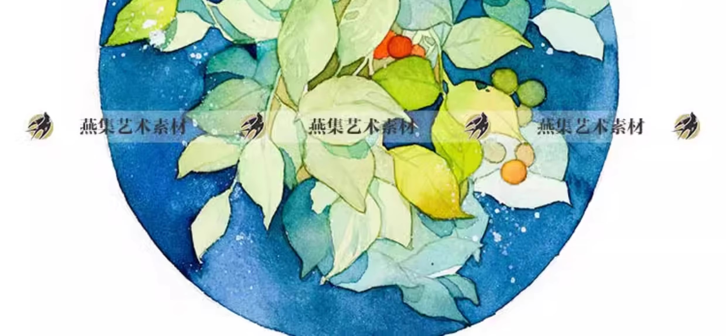 图片[9]-116幅，水彩花卉植物手绘速写线稿教程美术生绘画临摹学习电子图片素材-美肚杀分享