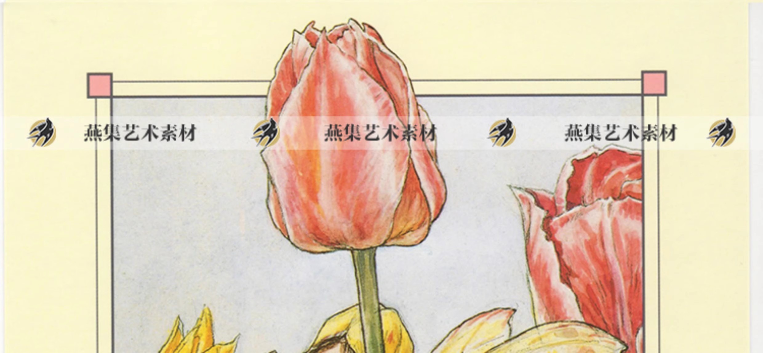 图片[9]-576幅，Cicely Mary Barker可爱童趣花仙手帐 复古童话插画参考电子素材-美肚杀分享